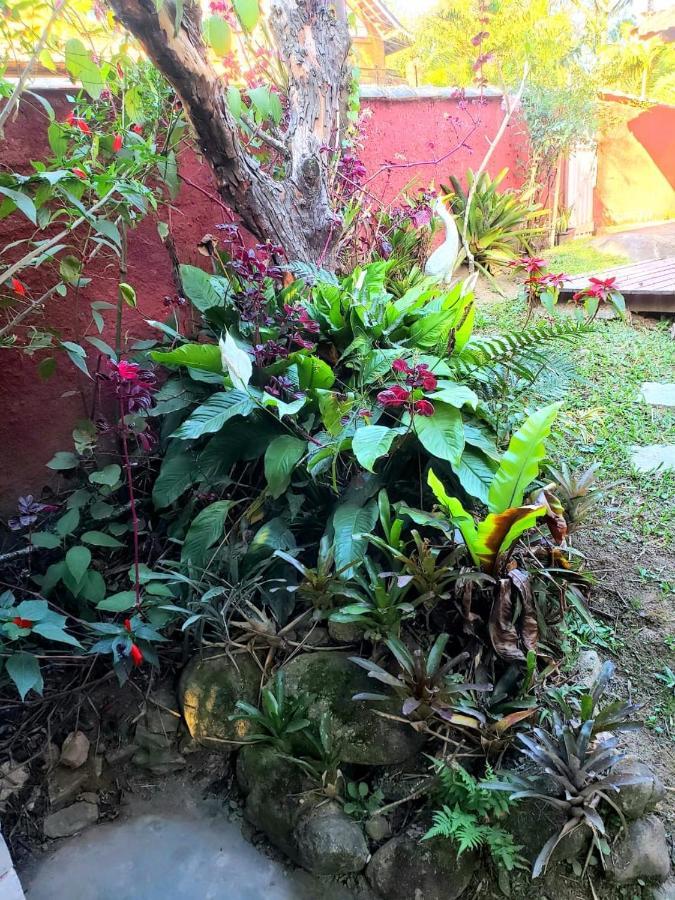 Casa Cravo & Canela Sao Pedro da Serra  Eksteriør bilde
