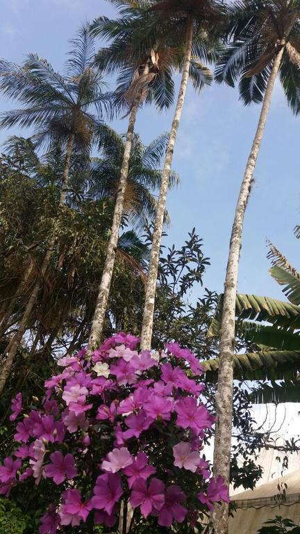 Casa Cravo & Canela Sao Pedro da Serra  Eksteriør bilde